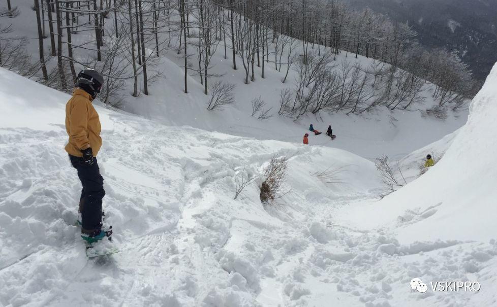 雪场档案 | 日本-白馬岩岳滑雪場