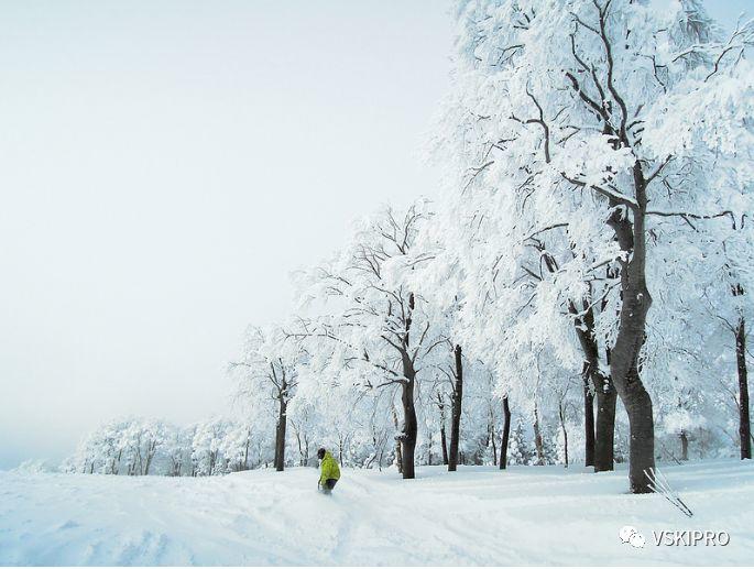 雪场档案 | 日本-胜山滑雪場