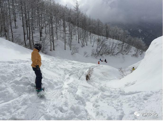 雪场档案 | 日本-白馬岩岳滑雪場