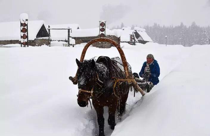 让冬季旅游更顺心：防冻保暖滑雪技巧