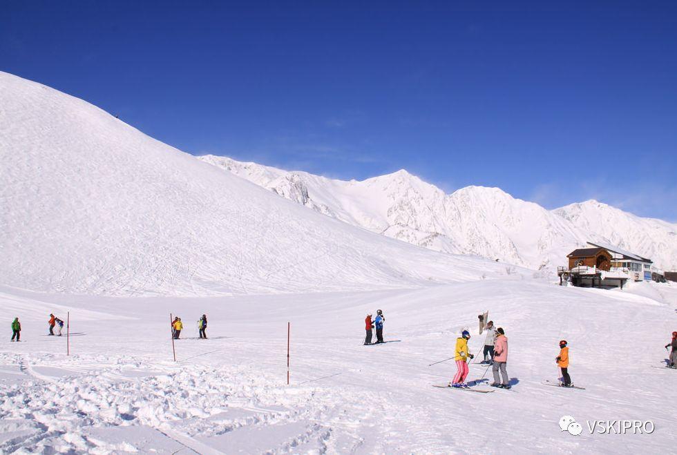 雪场档案 | 日本-八方尾根滑雪场