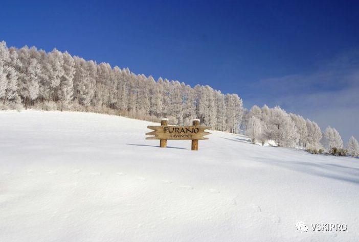 雪场档案 | 日本-富良野滑雪場