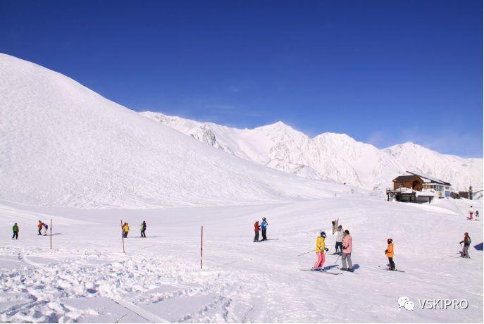 雪场档案 | 日本-八方尾根滑雪场