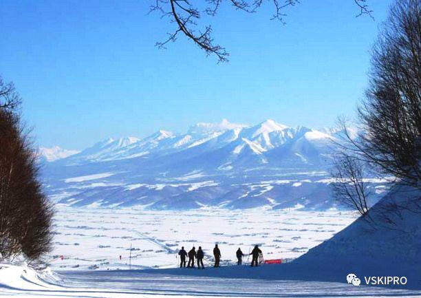 雪场档案 | 日本-富良野滑雪場