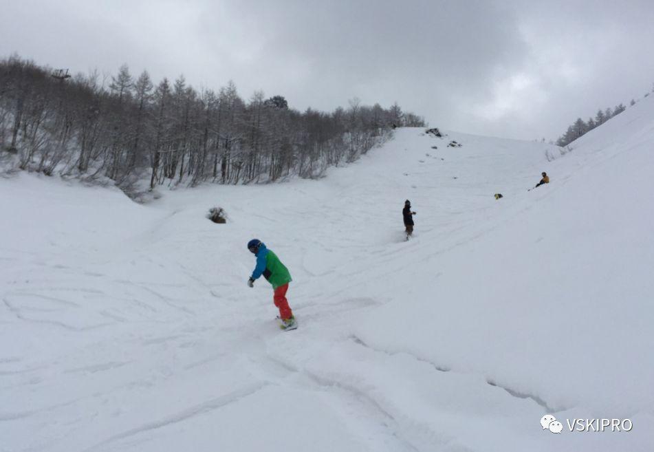 雪场档案 | 日本-白馬岩岳滑雪場