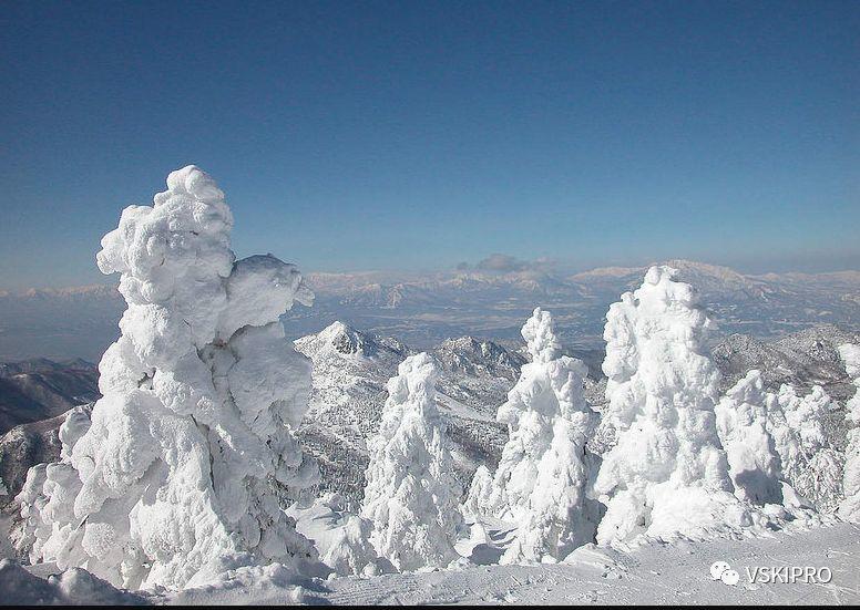 雪场档案 | 日本-志賀高原滑雪場