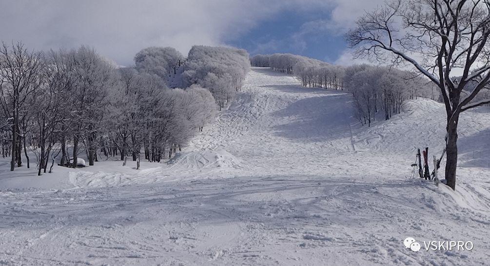 雪场档案 | 日本-八甲田滑雪場