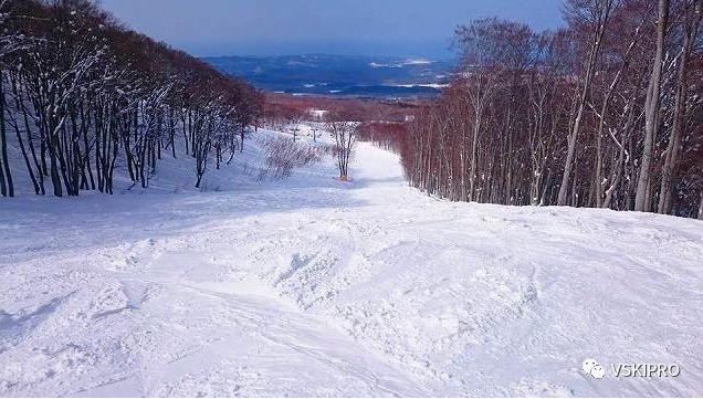 雪场档案 | 日本-鰺澤滑雪場